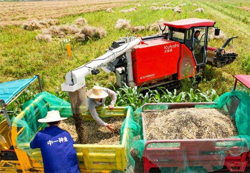 垫江吃瓜最新事件爆料新闻,揭秘背后惊人真相  第1张